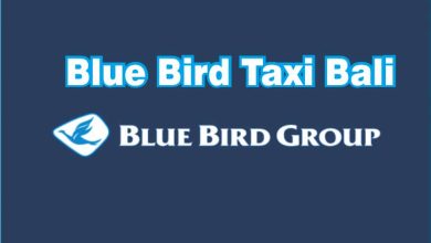 Alamat Pool Dan No Telepon Blue Bird Taxi Bali