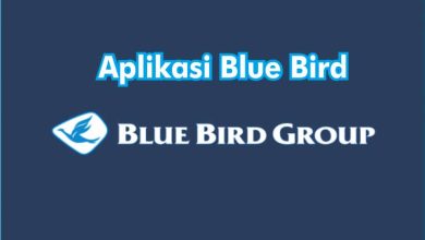 Aplikasi Bluebird Update Terbaru