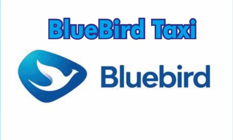 BlueBird Taxi Terdekat Layanan Dan Nomor Telepon