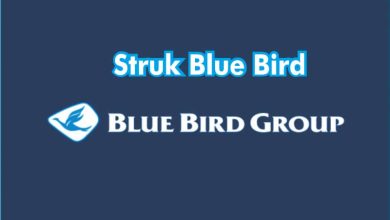 Cara Mendapatkan Struk Blue Bird